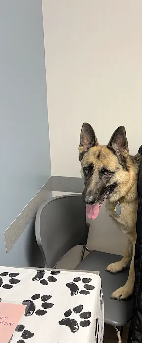 Strong Village Veterinary Center 7