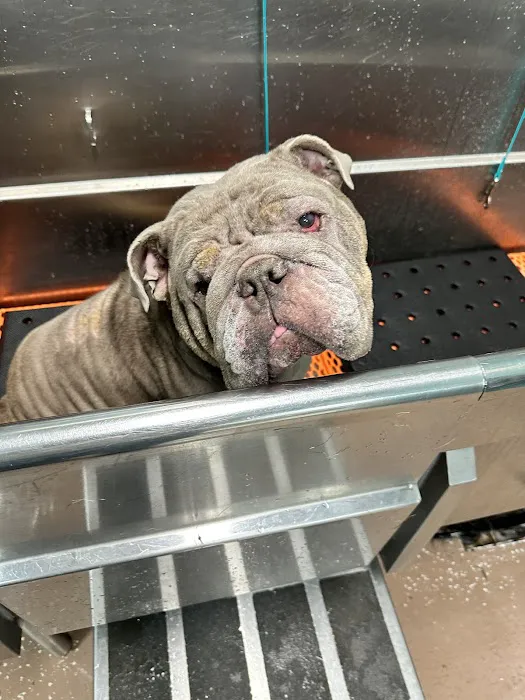 Strong Village Veterinary Center 9