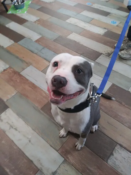 Banfield Pet Hospital 7