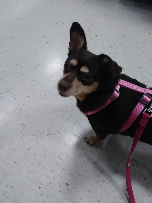 Banfield Pet Hospital 3