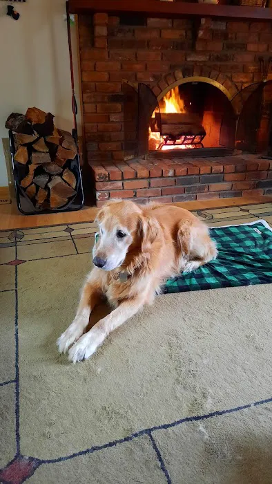 Banfield Pet Hospital 1