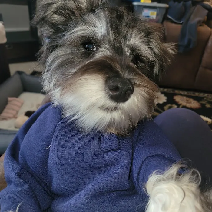 Banfield Pet Hospital 10