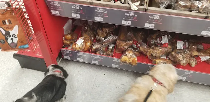 Petco 1