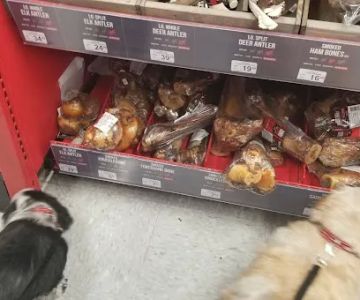 Petco