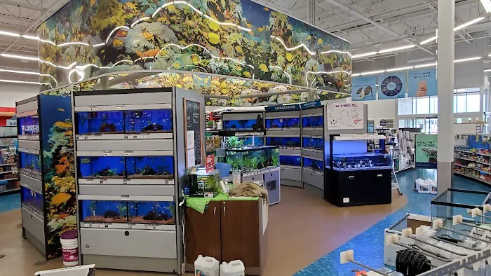 Petco 5