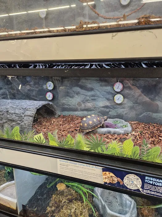 Petco 6