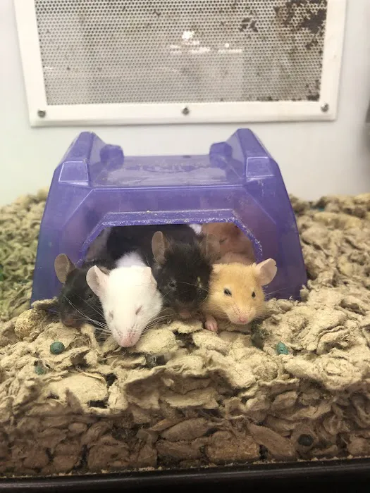Petco 10