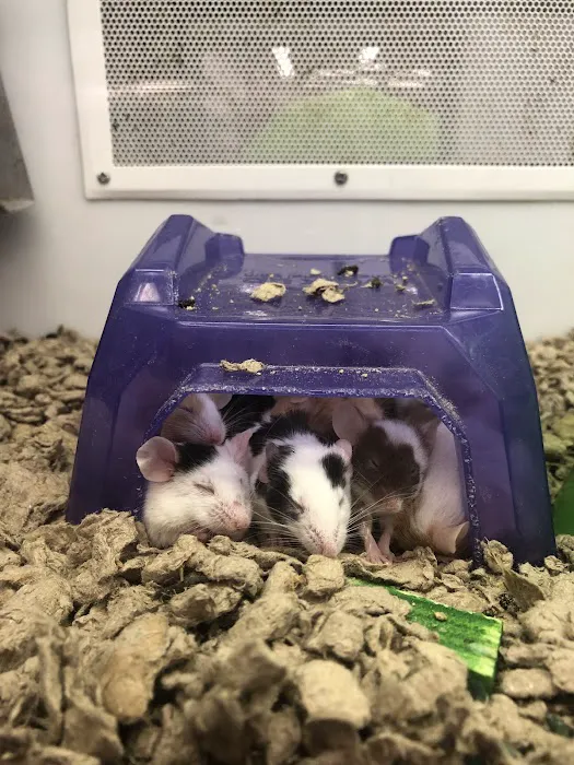 Petco 9
