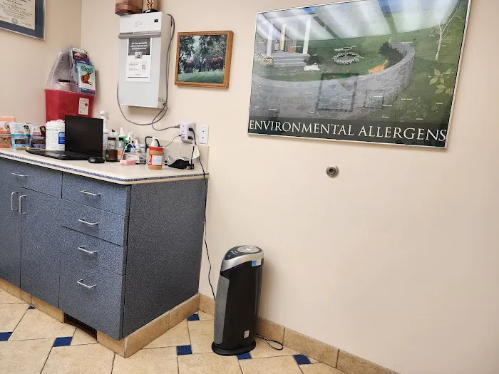 Allergy, Skin & Ear Clinic 4