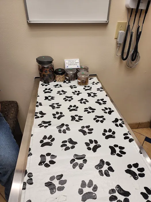 Allergy, Skin & Ear Clinic 2