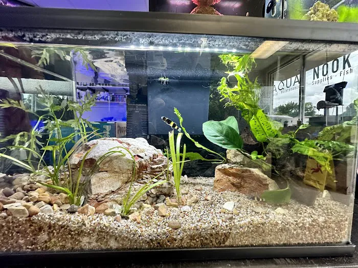 Aqua-Nook 4