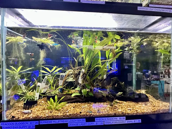 Aqua-Nook 8