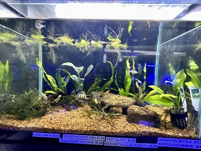 Aqua-Nook 10