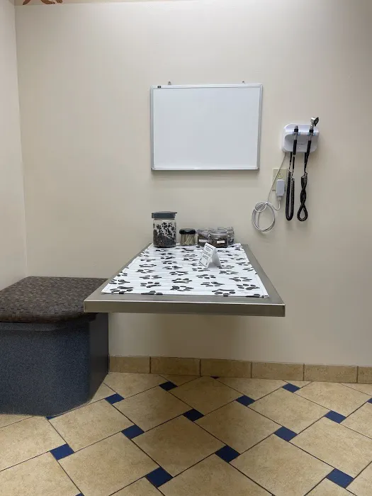 Bloom Animal Hospital 2