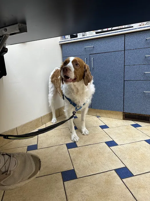 Bloom Animal Hospital 1