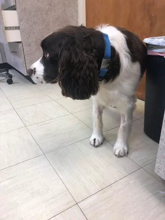 Bloom Animal Hospital 6