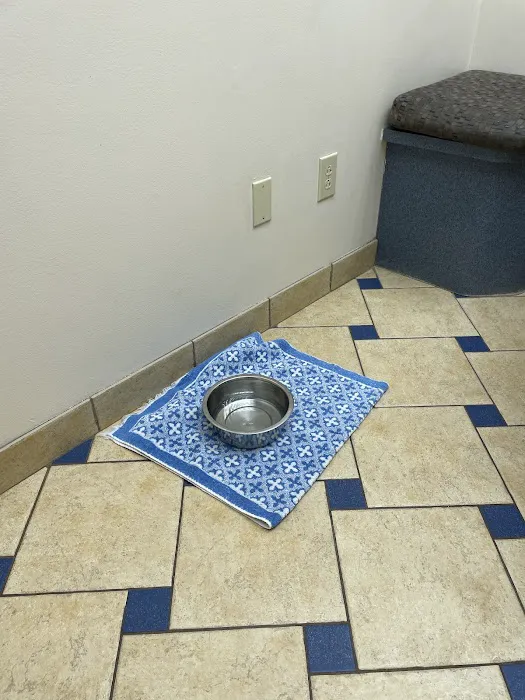 Bloom Animal Hospital 8