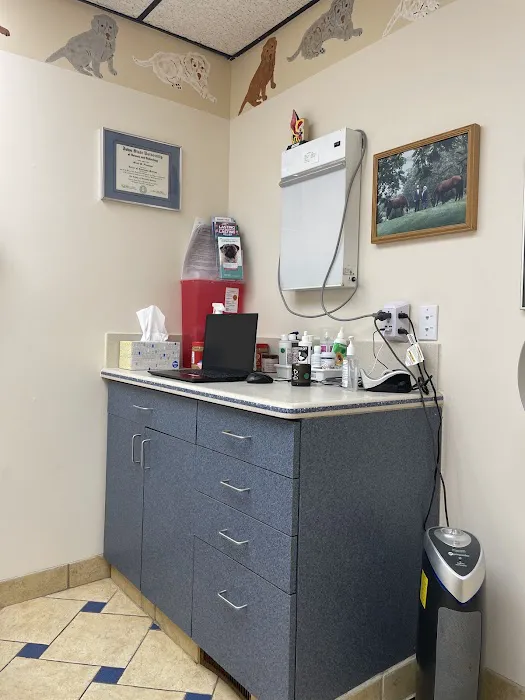 Bloom Animal Hospital 4