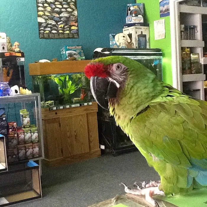 Midwest Tropical Fish llc 5