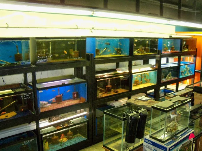 Midwest Tropical Fish llc 8
