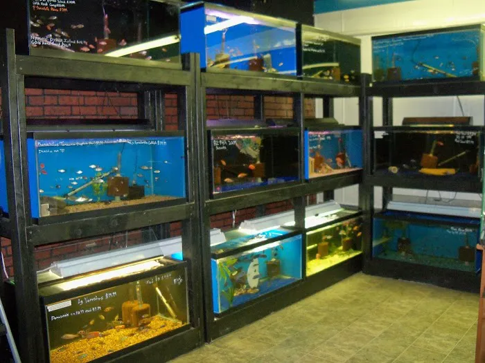 Midwest Tropical Fish llc 1