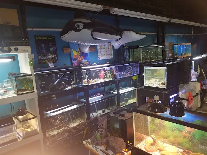 Midwest Tropical Fish llc 3