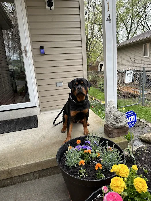 Unleashed Pet Care 9