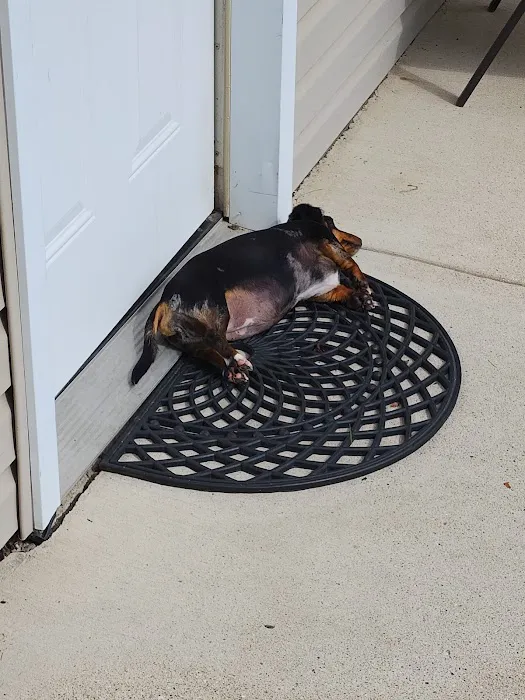 Unleashed Pet Care 6