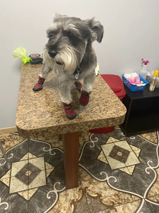 Animal Care Hospital of Livonia 9