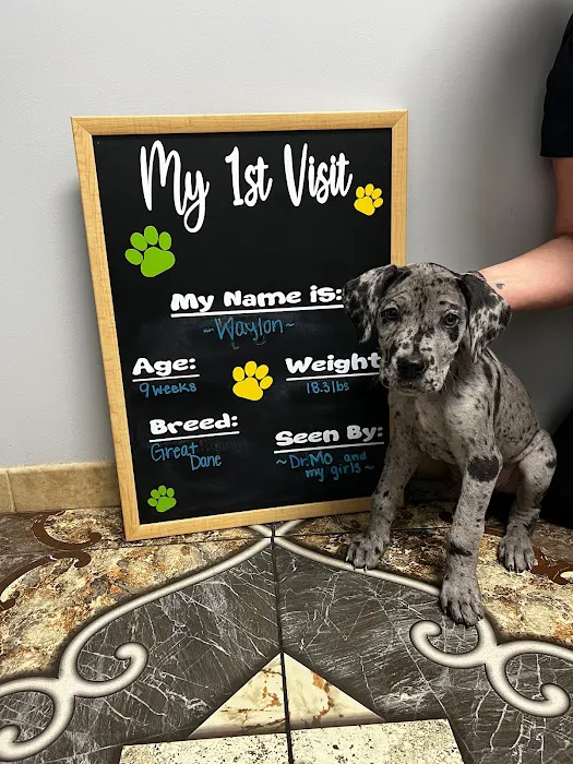Animal Care Hospital of Livonia 4