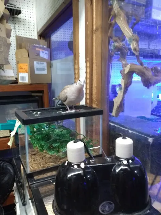 Lynn's Exotics & Aquatics 1