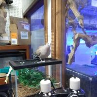 Lynn's Exotics & Aquatics ico