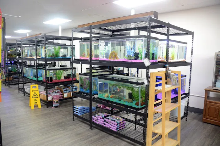 Lynn's Exotics & Aquatics 5