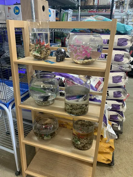 Lynn's Exotics & Aquatics 4