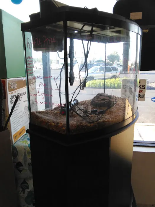 Lynn's Exotics & Aquatics 2