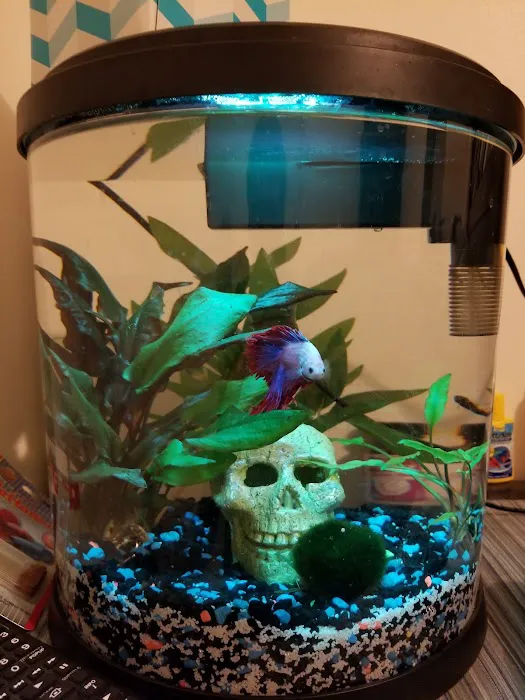 Lynn's Exotics & Aquatics 8