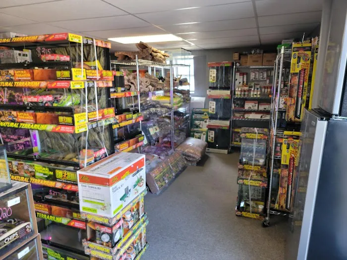 Show Me Reptile Shop 10