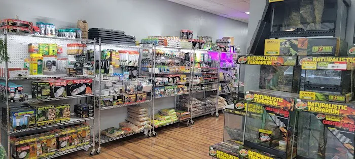 Show Me Reptile Shop 3