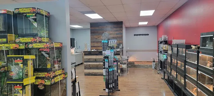 Show Me Reptile Shop 4