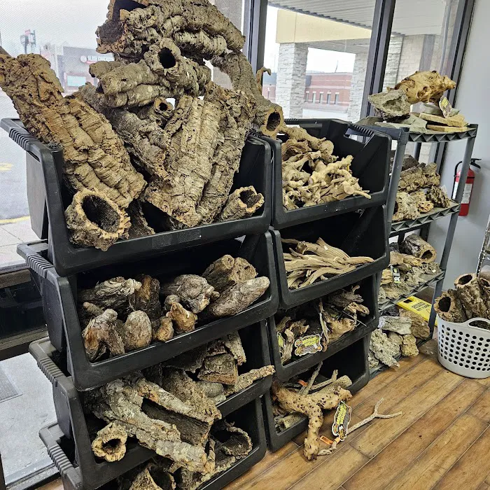 Show Me Reptile Shop 8