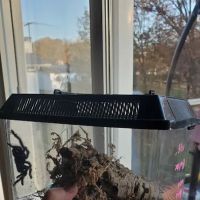 Show Me Reptile Shop ico