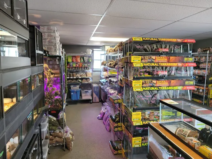 Show Me Reptile Shop 9