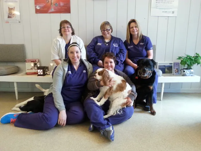 VetSelect Animal Hospital of Dearborn Heights 8