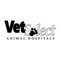 VetSelect Animal Hospital of Dearborn Heights ico