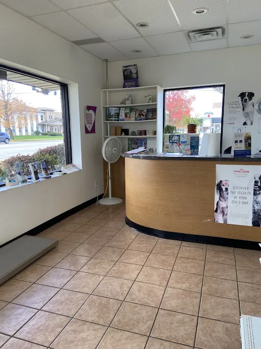 Amazon Animal Clinic 3