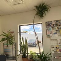 Amazon Animal Clinic ico