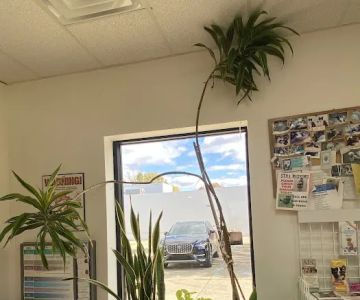Amazon Animal Clinic