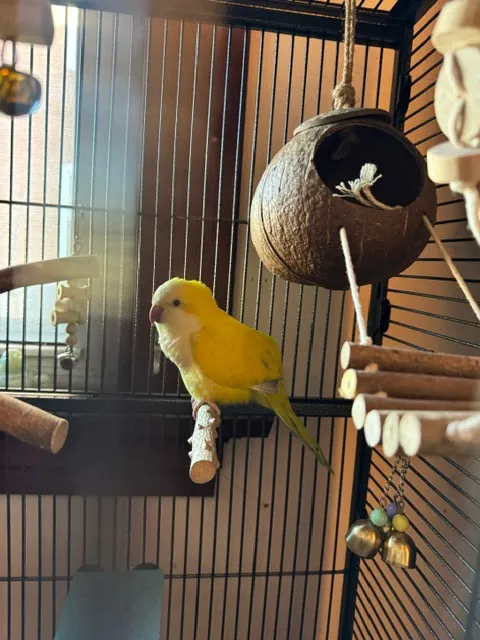 A Little Bit of Heaven Aviary 1
