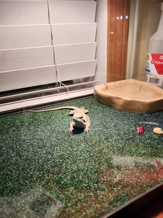 Petco 8