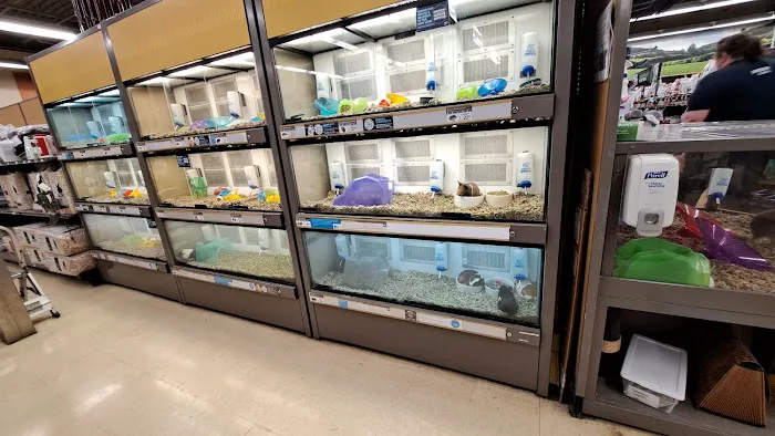 Petco 1